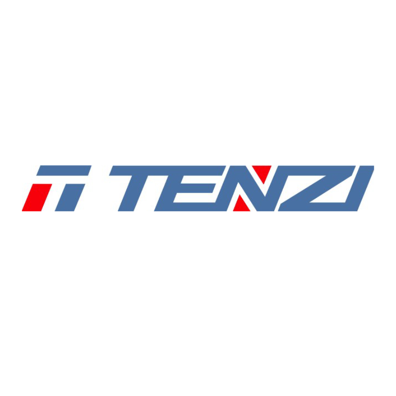 TENZI